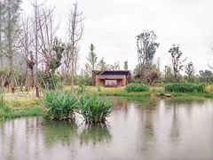 -贵阳市花溪国家城市湿地公园