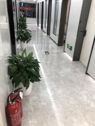 点击看大图 -悟空祛痘·诺奖技术专业店