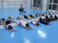 -西安小天鹅艺术团(曲江Alice店)