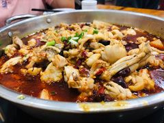 -专业跳跳蛙·彭彭老铺(步行街店)