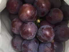 -马陆小张葡萄园农家乐