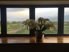 -翠田Green Field Kitchen