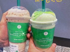-茉酸奶(春熙路店)