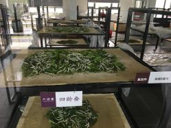 -太湖雪蚕桑文化园