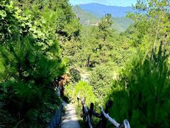 -大明山自然探索公园