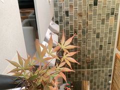 -武夷山德懋堂度假村·五观堂餐厅