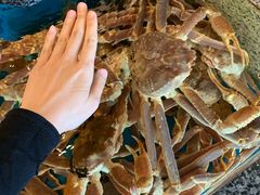 -蟹道乐(道顿堀本店)