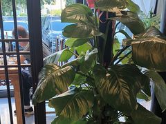 -二分八云雁阁•新晋菜大同味(长治路店)