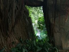 -乌山风景区