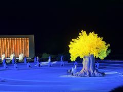 -鼎盛王朝康熙大典实景演出