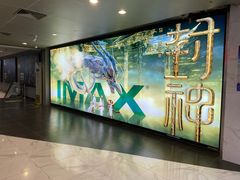 -SFC上影百联影城(八佰伴IMAX店)