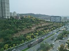 -济南喜来登酒店
