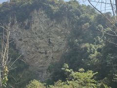 -沧源崖画