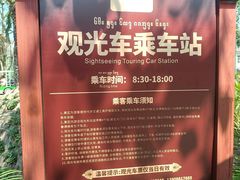 -西双版纳傣族园