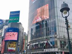 -涩谷区