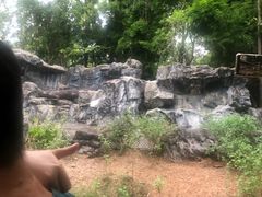 -清迈夜间动物园