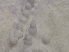 -Mr·Kuma酷么先生雪之乐园