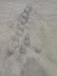 -Mr·Kuma酷么先生雪之乐园