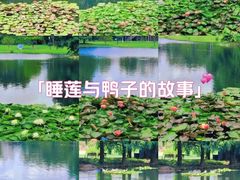 -上海辰山植物园