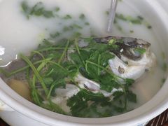 -紫藤园·天目湖大鱼头(南山竹海店)