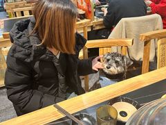 -翊宠yipet猫狗购宠庄园犬舍•猫舍