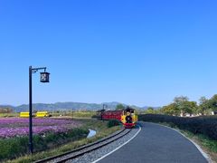 -径山花海