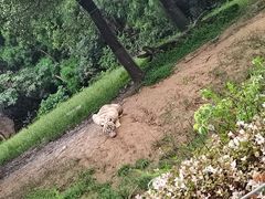 -杭州野生动物世界