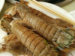 -春华海鲜城(广场西苑店)