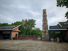 -中国扬子鳄村