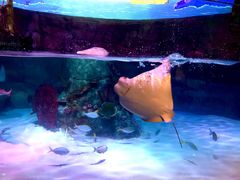 -沈阳海洋探索中心