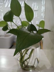 点击看大图 -玛尼瑜伽·普拉提