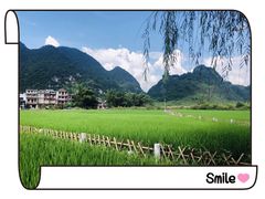 -靖西鹅泉风景区