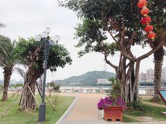 -野狸岛