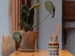 -栖咖啡(泉舜店)