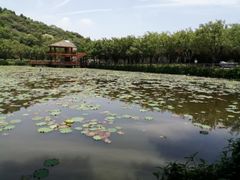 -李小龙乐园(顺德均安店)