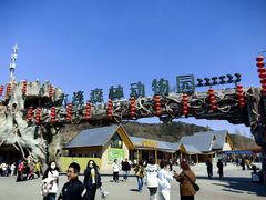 -大连森林动物园