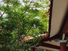 -莆田湄洲妈祖祖庙