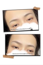 -MIVI半永久纹眉机器野生眉纹唇