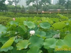 -白塘生态植物园