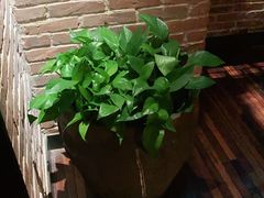 -外婆家(南开大悦城店)