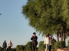 -丁香湖公园