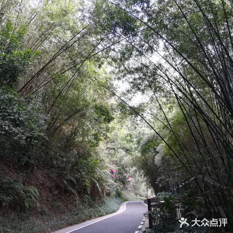 广州黄埔主题公园——广州科学城体育公园