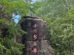 -汤旺河林海奇石景区