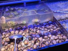 -盛江山自助料理(奥莱锦辉购物广场店)