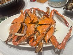 -开海·红岛海鲜虾水饺(石老人店)
