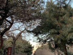-北陵公园
