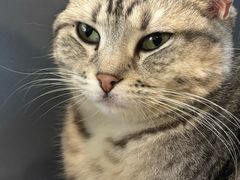 -平行世界·猫咖(首经贸店)