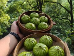 -巴倒烫陆派重庆火锅(南山店)