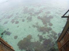 -卡帕莱度假村(西巴丹岛)