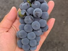 -如意农家院(胡关路店)